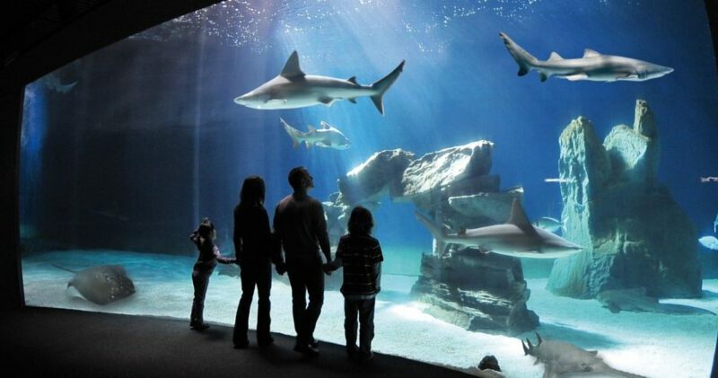 Acquario-genova