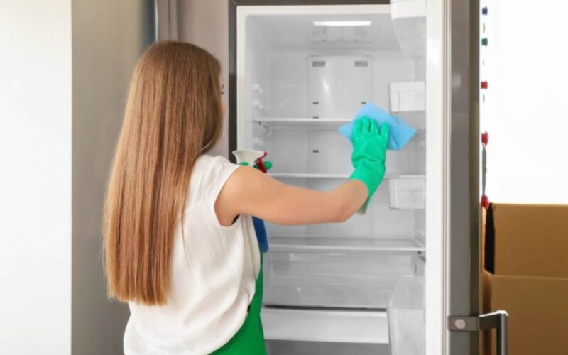 ogni-quanto-pulisci-il-frigorifero?-sicuramente-sbagli,-ed-e-covo-di-germi-e-batteri-invisibili